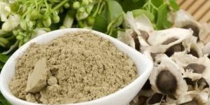 Moringa Drumstick Seed Powder
