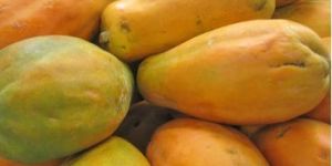 Fresh Papaya