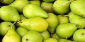 Fresh Pear