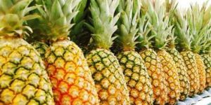 Fresh Pineapple