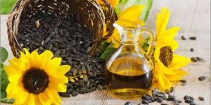Sunflower Cooking Oil