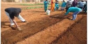 Agricultural Soil Development Services