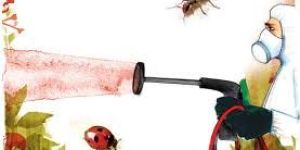 Pest Control Services