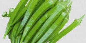 Organic Okra