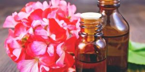 Rose Geranium Essential Oil