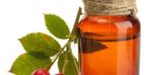 Rosehip Carrier Oil