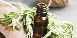 Rosemary Extract