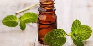 Spearmint Essential Oil
