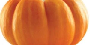 Fresh Pumpkin