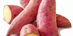 Fresh Sweet Potato