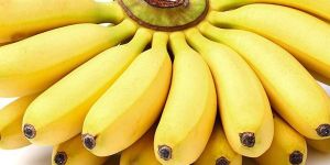 Fresh Yellow Banana