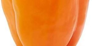 Fresh Yellow Capsicum