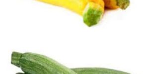 Green Zucchini