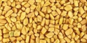 Fenugreek Seeds