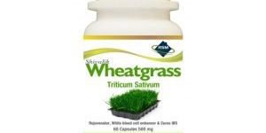 Shivalik Wheatgrass Capsules
