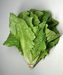 Romaine Lettuce Leaves