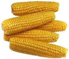 Organic Maize