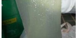 Fresh Aloe Vera Pulp