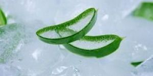 Natural Aloe Vera Pulp