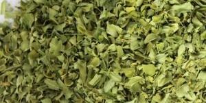 Natural Dried Moringa Leaves