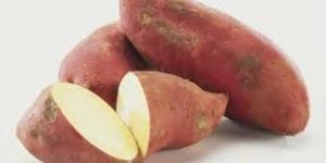 Fresh Sweet Potato