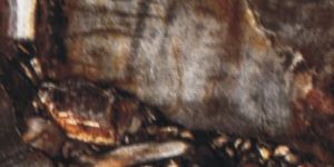 WD 702 Brown Fire Marble Composite Panels