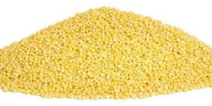 Natural Millet Seeds