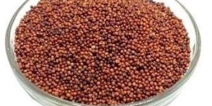Natural Ragi Seeds