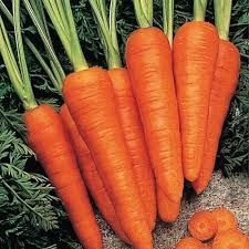 Organic Carrot