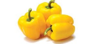 Yellow Capsicum