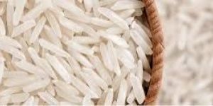 Organic Basmati Rice