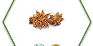 Star Anise Essential Oil