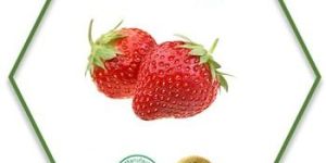 Strawberry Seed Oil