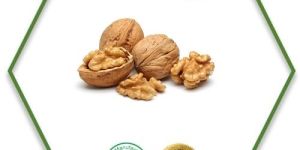 Walnut Carrier Oil