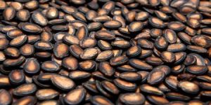 Organic Watermelon Seeds