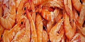 Sun Dried Shrimp Shell