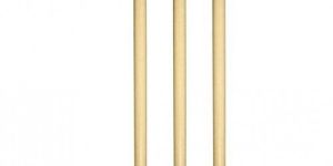 Wooden Cricket Stumps