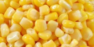 Loose Maize Seeds