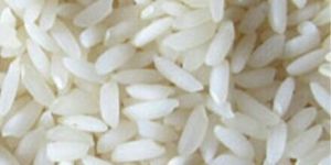 1121 White Sella Rice