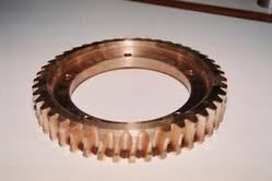 Bronze Worm Gear