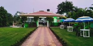 Lawn Designing Services