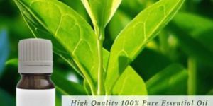 Tea Tree Essential Oil