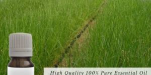 Vetiver Essential Oil