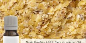 Wheat Germ Essential Oil