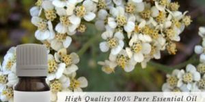Yarrow Essential Oil