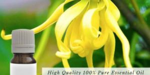 Ylang Ylang Essential Oil