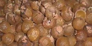 Soap Nuts (Ritha)