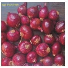 Red Onion