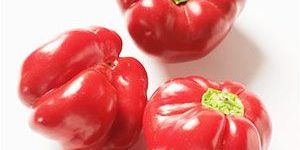 Red Paprika Natural Oleoresin