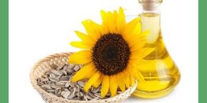 Sun Flower Oil